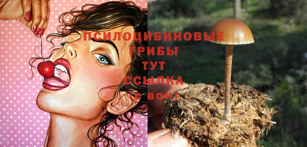 МДПВ Абдулино