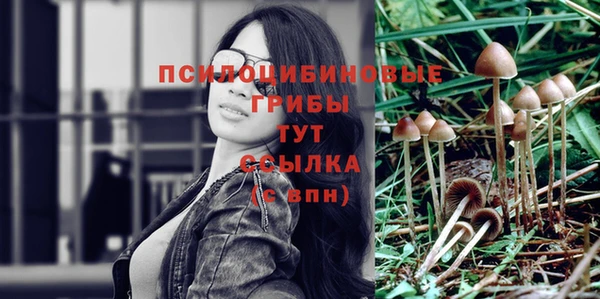 COCAINE Абаза