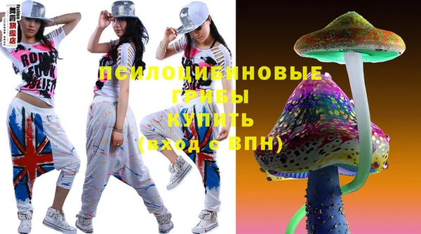 МДПВ Абдулино