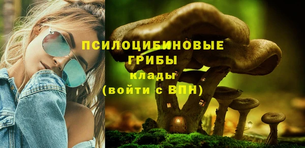 МДМА Сосновый Бор