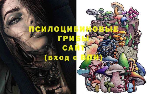 МДПВ Абдулино